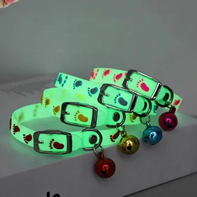 Cat Collar Radium Belt 1 Pc